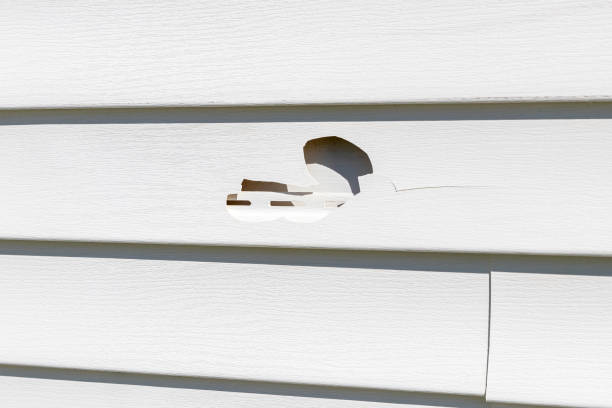 Best Siding Painting and Refinishing  in Barrackville, WV